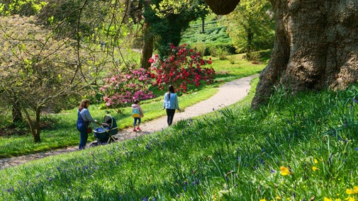 A child and two adults, one pushing a pram, make their way along a path in the garden on a sunny day at Glendurgan, Cornwall